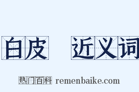 白皮書近义词是什么意思的图片